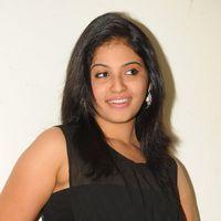 Anjali at Journey Audio Launch Pictures | Picture 127213